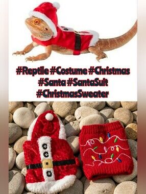 📣Bundle of 2️⃣ Merry & Bright Santa Reptile 🦎 Costume & Christmas Sweater 🎄🎁